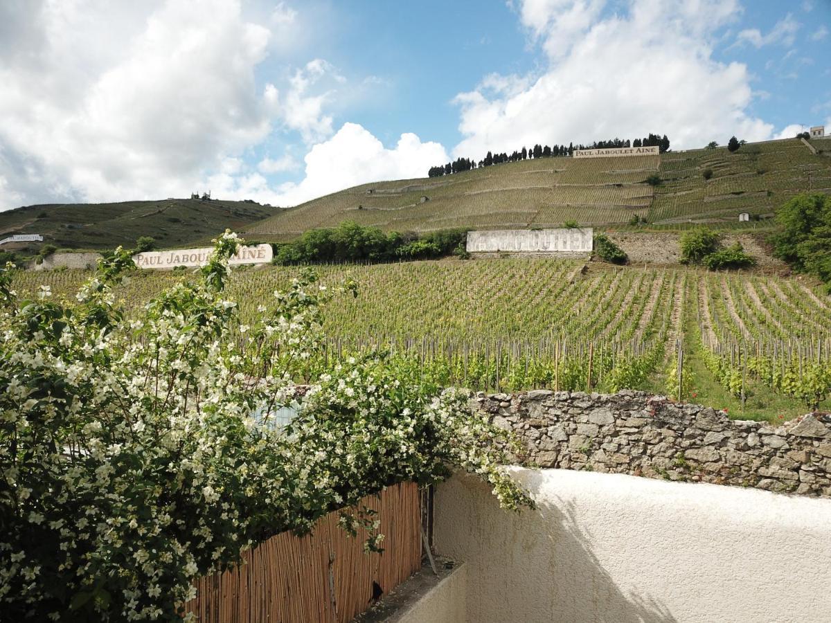 Le Pavillon De L'Hermitage - Spa Ouvert D'Avril A Octobre Tain-l'Hermitage Exterior photo